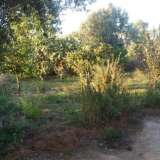  (For Sale) Land Plot || East Attica/Paiania - 1.018 Sq.m, 70.000€ Athens 6544754 thumb5