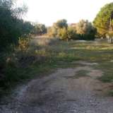  (For Sale) Land Plot || East Attica/Paiania - 1.018 Sq.m, 70.000€ Athens 6544754 thumb0