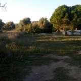  (For Sale) Land Plot || East Attica/Paiania - 1.018 Sq.m, 70.000€ Athens 6544754 thumb9