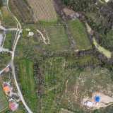  For Sale - (€ 0 / m2), Agricultural 8076 m2 Eleftheres 8144769 thumb6