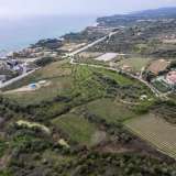  For Sale - (€ 0 / m2), Agricultural 8076 m2 Eleftheres 8144769 thumb4