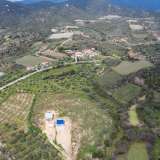  For Sale - (€ 0 / m2), Agricultural 8076 m2 Eleftheres 8144769 thumb8