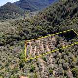  For Sale - (€ 0 / m2), Agricultural 6231 m2 Thasos 8144842 thumb7