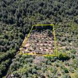  For Sale - (€ 0 / m2), Agricultural 6231 m2 Thasos 8144842 thumb5