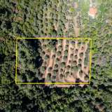  For Sale - (€ 0 / m2), Agricultural 6231 m2 Thasos 8144842 thumb4