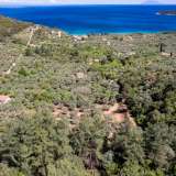  For Sale - (€ 0 / m2), Agricultural 6231 m2 Thasos 8144842 thumb2