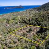  For Sale - (€ 0 / m2), Agricultural 6231 m2 Thasos 8144842 thumb0