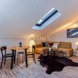  RIJEKA, ZENTRUM – Vier etablierte Wohnungen im Stadtzentrum Rijeka 8144983 thumb7