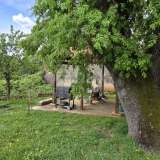  ИСТРИЯ, ПОРЕЧ - Отремонтированный истрийский дом с садом Пореч 8144985 thumb38