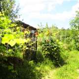 Regulated property with beautiful panorama 6 km from the town of Elena Veliko Tarnovo city 7945487 thumb13
