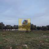  (For Sale) Land Plot || Athens North/Metamorfosis - 5.380 Sq.m, 1.450.000€ Athens 8045535 thumb2
