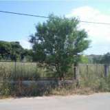  (For Sale) Land Plot || East Attica/Anoixi - 3.100 Sq.m, 400.000€ Athens 8045543 thumb1