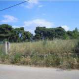  (For Sale) Land Plot || East Attica/Anoixi - 3.100 Sq.m, 400.000€ Athens 8045543 thumb0