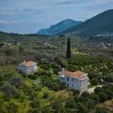  For Sale - (€ 0 / m2), Country House 320 m2 Epidavros 7845559 thumb5