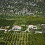  For Sale - (€ 0 / m2), Country House 320 m2 Epidavros 7845559 thumb9