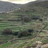  For Sale - (€ 0 / m2), Agricultural 34000 m2 Serifos 8145560 thumb5