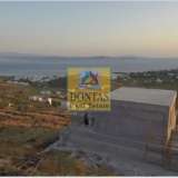  (For Sale) Land Plot || Cyclades/Tinos Chora - 10.285 Sq.m, 420.000€ Tinos 7845945 thumb1
