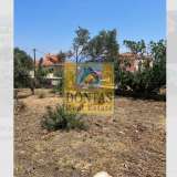  (For Sale) Land Plot || Chios/Omiroupoli - 1.220 Sq.m, 440.000€ Omiroupoli 7845953 thumb1