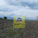  (For Sale) Land Agricultural Land  || Fthiotida/Kamena Vourla - 7.846 Sq.m, 320.000€ Kamena Vourla 8046320 thumb4