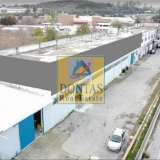  (For Sale) Commercial Industrial Area || Voiotia/Oinofyta - 2.600 Sq.m, 1.380.000€ Oinofita 8046322 thumb0