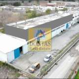  (For Sale) Commercial Industrial Area || Voiotia/Oinofyta - 2.600 Sq.m, 1.380.000€ Oinofita 8046322 thumb2