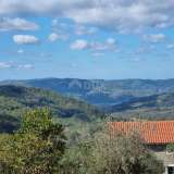  ISTRIA, BUZET - Estate with 4 residential buildings and one business-residential building, open view of nature and the lake  Buzet 8146664 thumb23