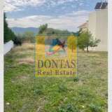  (For Sale) Land Plot || East Attica/Anoixi - 660 Sq.m, 300.000€ Athens 8146784 thumb0