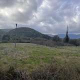  For Sale - (€ 0 / m2), Agricultural 4005 m2 Lefkada 7946815 thumb6
