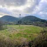  For Sale - (€ 0 / m2), Agricultural 4005 m2 Lefkada 7946815 thumb4