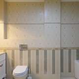   Sofia 4646903 thumb22