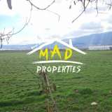  Regulated land property 11 decares Petrich city 7846918 thumb7