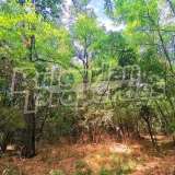  A hunting lodge with land, 5 bungalows and a forest in beautiful area Razhevo Konare village 7946923 thumb5