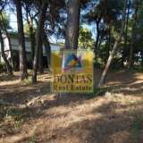  (For Sale) Land Plot || Athens North/Ekali - 2.910 Sq.m, 4.000.000€ Athens 7847482 thumb6