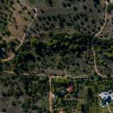  For Rent , Agricultural 29862 m2 Kranidi 8047484 thumb2