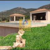  (For Sale) Residential Villa || Argolida/Kranidi - 700 Sq.m, 8 Bedrooms, 3.500.000€ Kranidi 7847488 thumb12