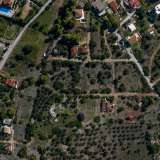  For Sale - (€ 0 / m2), Agricultural 4272 m2 Kranidi 8047496 thumb5
