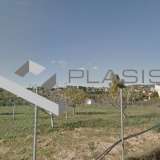  (For Sale) Land Plot || East Attica/Pallini - 810 Sq.m, 300.000€ Athens 8047667 thumb0