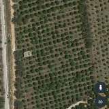  (For Sale) Land Agricultural Land  || Korinthia/Korinthia - 14.000 Sq.m, 98.000€ Corinth 7347746 thumb4