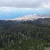  Para Venda, Funchal Funchal 8047784 thumb2