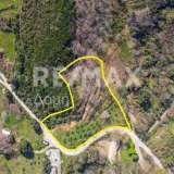  For Sale - (€ 0 / m2), Agricultural 4900 m2 Afetes 8148233 thumb7