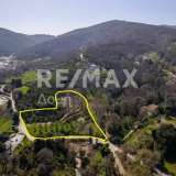  For Sale - (€ 0 / m2), Agricultural 4900 m2 Afetes 8148233 thumb1