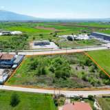  For Sale - (€ 0 / m2), Agricultural 6238 m2 Drama 8148318 thumb4