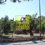 (For Sale) Land Plot || Athens North/Penteli - 1.100 Sq.m, 750.000€ Penteli 7948602 thumb0