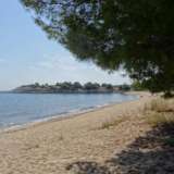  For Sale - (€ 0 / m2), Agricaltural 18000 m2 Sithonia 4148666 thumb4