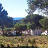   Almancil (Central Algarve) 6648677 thumb10