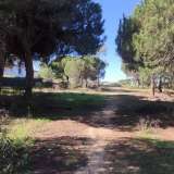   Almancil (Central Algarve) 6648677 thumb4