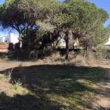   Almancil (Centraal Algarve) 6648677 thumb6