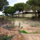   Almancil (Centrální Algarve) 6648677 thumb0