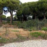   Almancil (Sentral Algarve) 6648677 thumb1