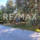  For Sale - (€ 0 / m2), Plot 506.60 m2 Agria 8148715 thumb4